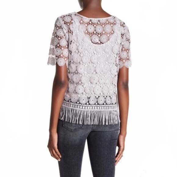 Ella Moss Gray Crochet Overlay Short Sleeve Blouse | Size Medium - Picture 4 of 8